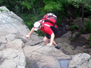 derniere poussée derniere poussée
